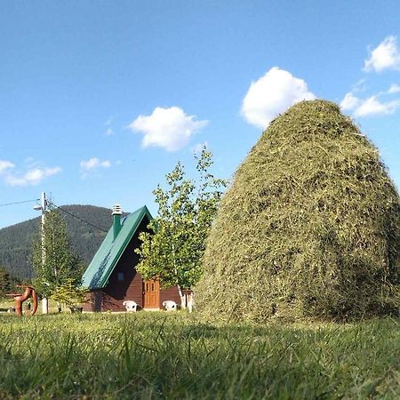 Villa Etno Koliba Nikoleta Žabljak Exterior foto