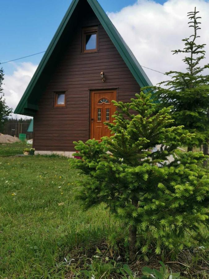 Villa Etno Koliba Nikoleta Žabljak Exterior foto